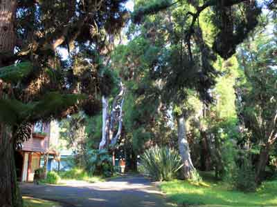 Voyage à Hawaï de Martine