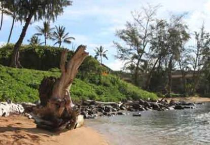 Voyage à Hawaï de Martine