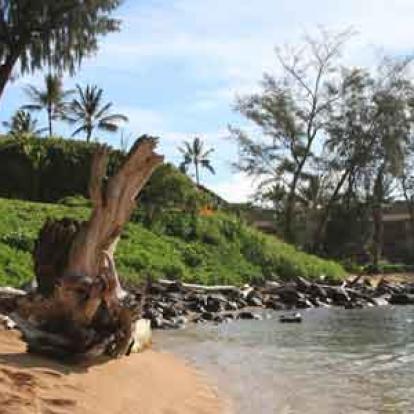 Voyage à Hawaï de Martine