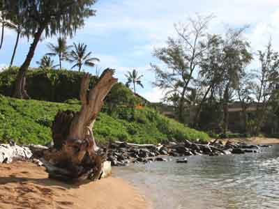 Voyage à Hawaï de Martine