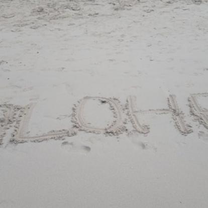 ©Angélique Et Mathieu G. - Tous Droits Réservés Voyage à Hawaï d' Angélique et Mathieu