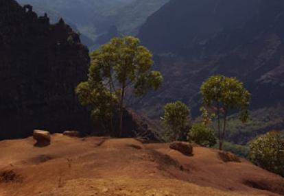 Voyage à Hawaï d' Angélique et Mathieu