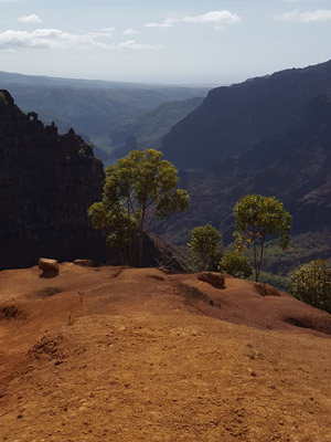 ©Angélique et Mathieu G. - Tous Droits réservés Voyage à Hawaï d' Angélique et Mathieu