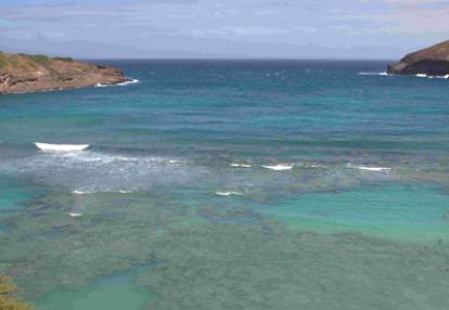 Voyage à Hawaï de la Famille de François