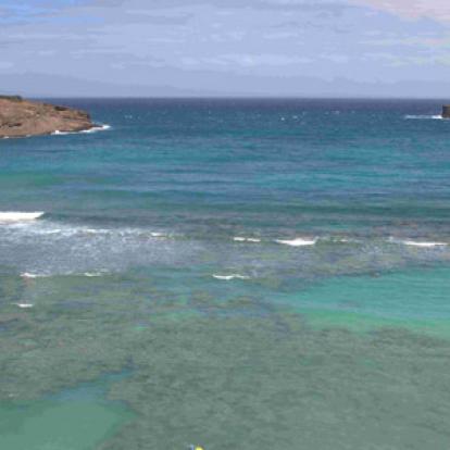 Voyage à Hawaï de la Famille de François