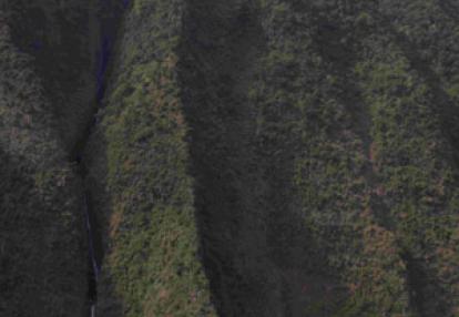 Voyage à Hawaï de la Famille de François