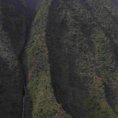Voyage à Hawaï de la Famille de François