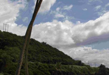 Voyage à Hawaï de la Famille de François