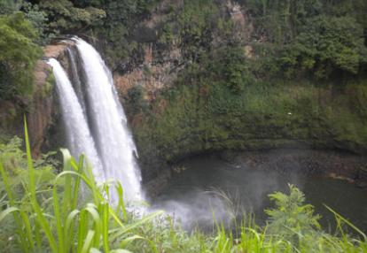 Voyage à Hawaï de la Famille de Bruno