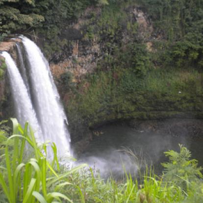 Voyage à Hawaï de la Famille de Bruno