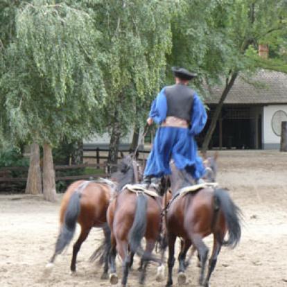 Voyage en Hongrie de Gilbert