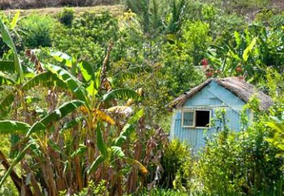 Trek à la Réunion - Avis du Groupe de Brigitte