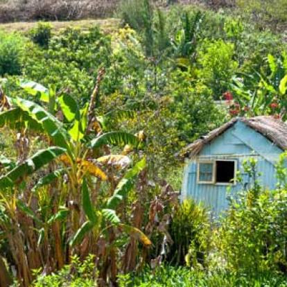 Trek à la Réunion - Avis du Groupe de Brigitte