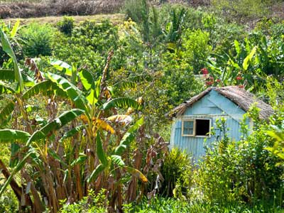 Trek à la Réunion - Avis du Groupe de Brigitte