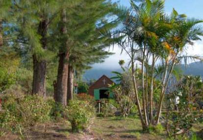 ©Brigitte M.- Tous Droits réservés Trek à la Réunion - Avis du Groupe de Brigitte
