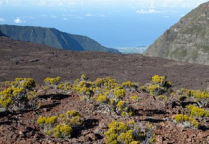 Trek à la Réunion - Avis de Jean et Valérie