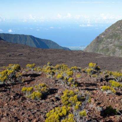 Trek à la Réunion - Avis de Jean et Valérie