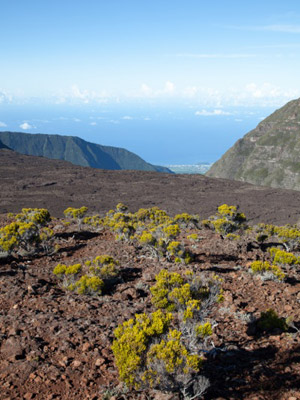 Trek à la Réunion - Avis de Jean et Valérie