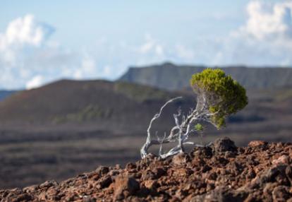 Trek à la Réunion - Avis de Jean et Valérie