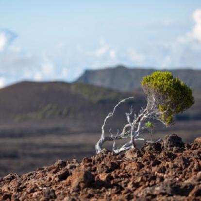 Trek à la Réunion - Avis de Jean et Valérie