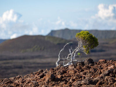 Trek à la Réunion - Avis de Jean et Valérie