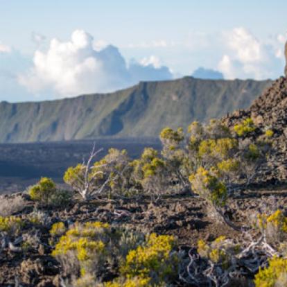 Trek à la Réunion - Avis de Jean et Valérie