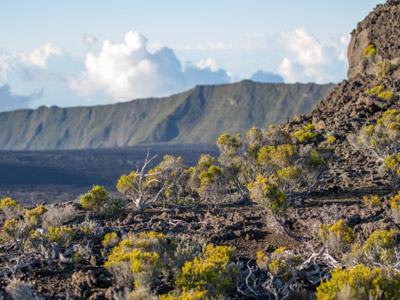 Trek à la Réunion - Avis de Jean et Valérie