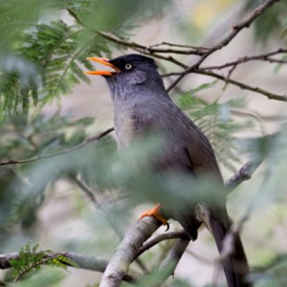 Trek à la Réunion - Avis de Jean et Valérie