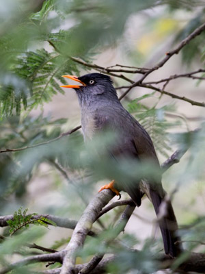 Trek à la Réunion - Avis de Jean et Valérie