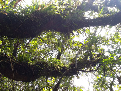 Trek à la Réunion de Sarah