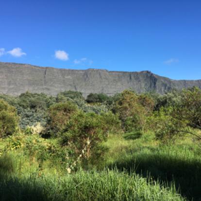 Voyage à la Réunion de Bertrand