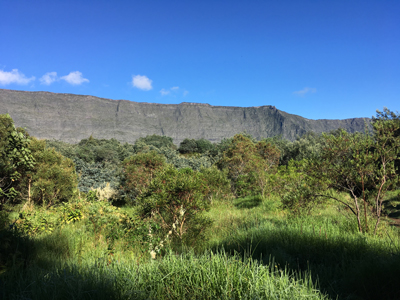 Voyage à la Réunion de Bertrand