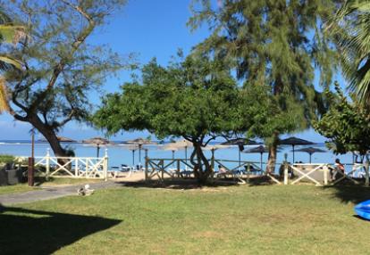 Voyage à la Réunion de Bertrand