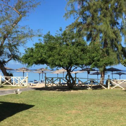 Voyage à la Réunion de Bertrand