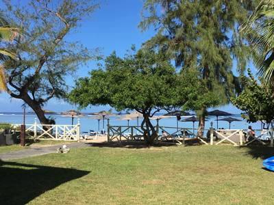 Voyage à la Réunion de Bertrand