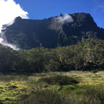 Voyage à la Réunion de Bertrand