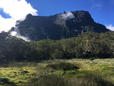 Voyage à la Réunion de Bertrand
