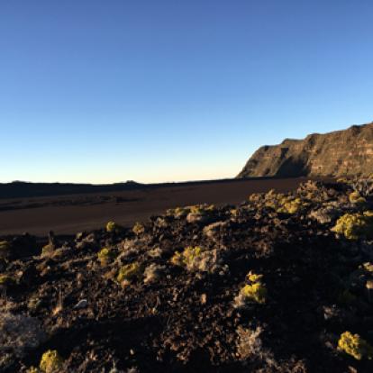 Voyage à la Réunion de Bertrand