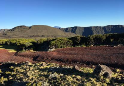 Voyage à la Réunion de Bertrand