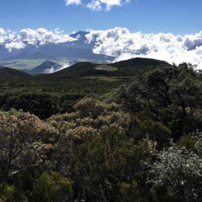 Voyage à la Réunion de Bertrand