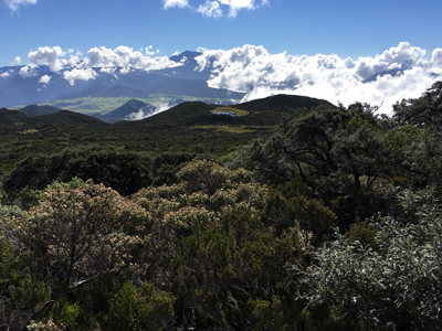Voyage à la Réunion de Bertrand
