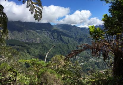 Voyage à la Réunion de Bertrand