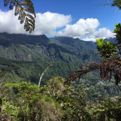 Voyage à la Réunion de Bertrand