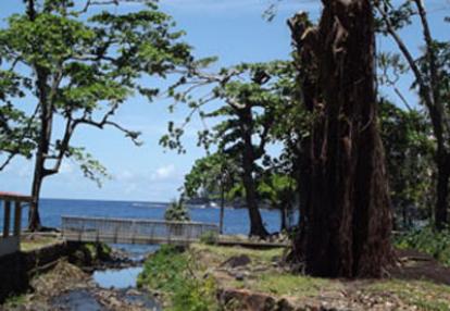 ©Daniel et Marie-Hélène M. - Tous Droits réservés Voyage à la Réunion de Daniel et Marie-Hélène
