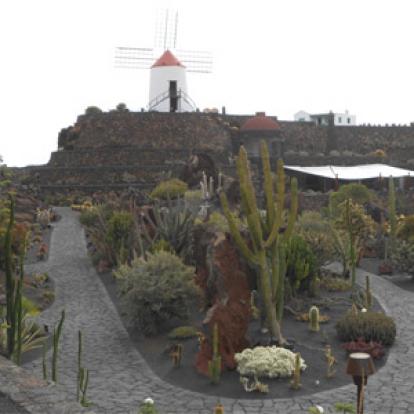 Voyage aux Canaries de Cédric