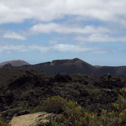 ©Anne J. - Tous Droits Réservés Voyage aux Canarie d'Anne