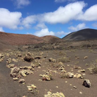 ©Anne J. - Tous Droits Réservés Voyage aux Canarie d'Anne