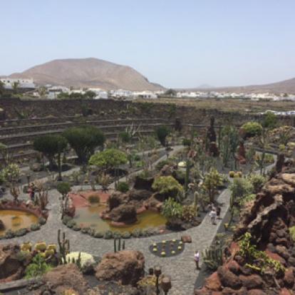 ©Anne J. - Tous Droits Réservés Voyage aux Canarie d'Anne