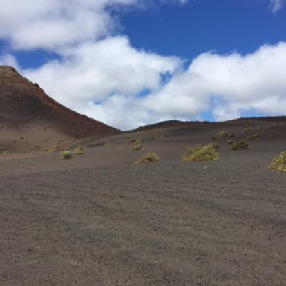©Anne J. - Tous Droits Réservés Voyage aux Canarie d'Anne