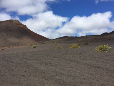 ©Anne J. - Tous Droits réservés Voyage aux Canarie d'Anne